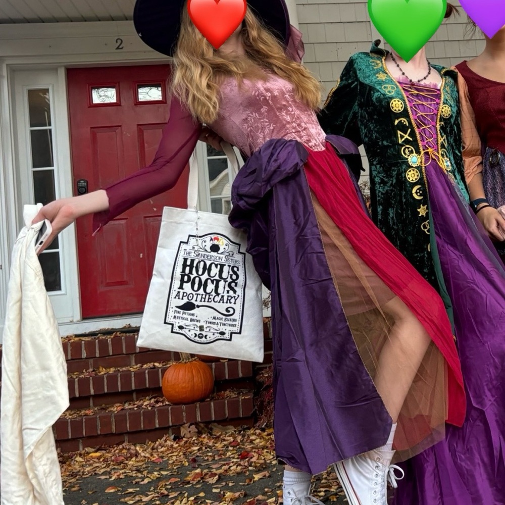Sarah Sanderson Costume Dress & Hat